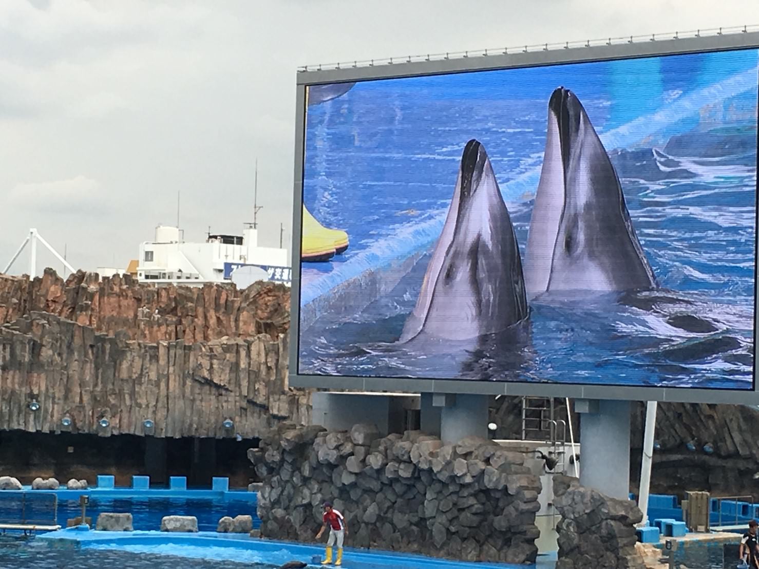 2018夏，日本] Day2名古屋港水族館，名古屋必遊行程，海豚表演超精彩，自製珍珠項鍊超有趣～（內含票價資訊、交通方式）（圖多） 琴心芳療