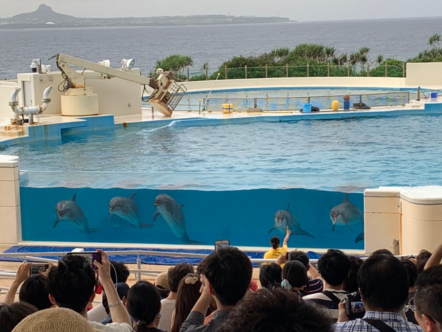 沖繩美麗海水族館