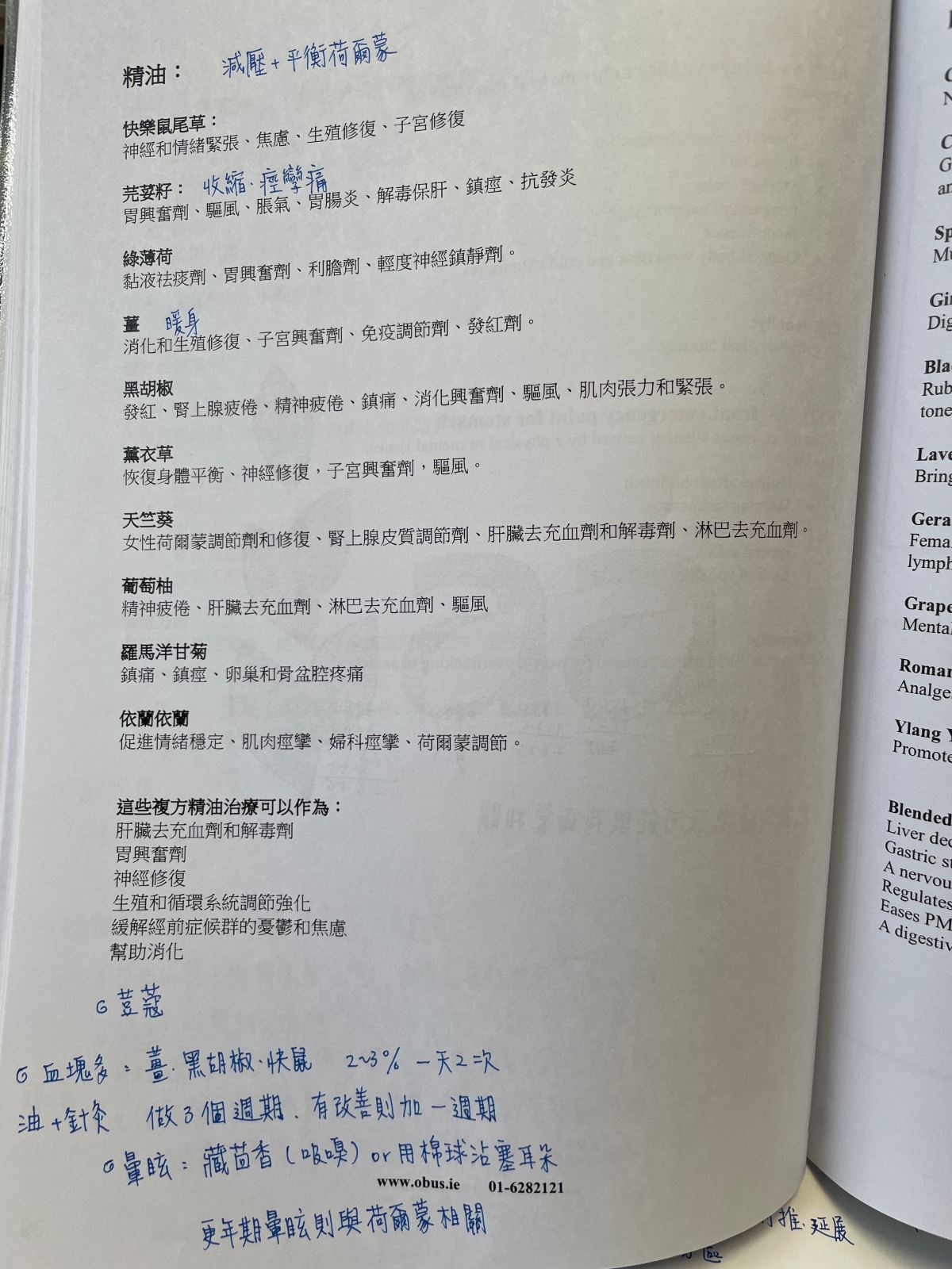 女性芳療2腹貴腸樂