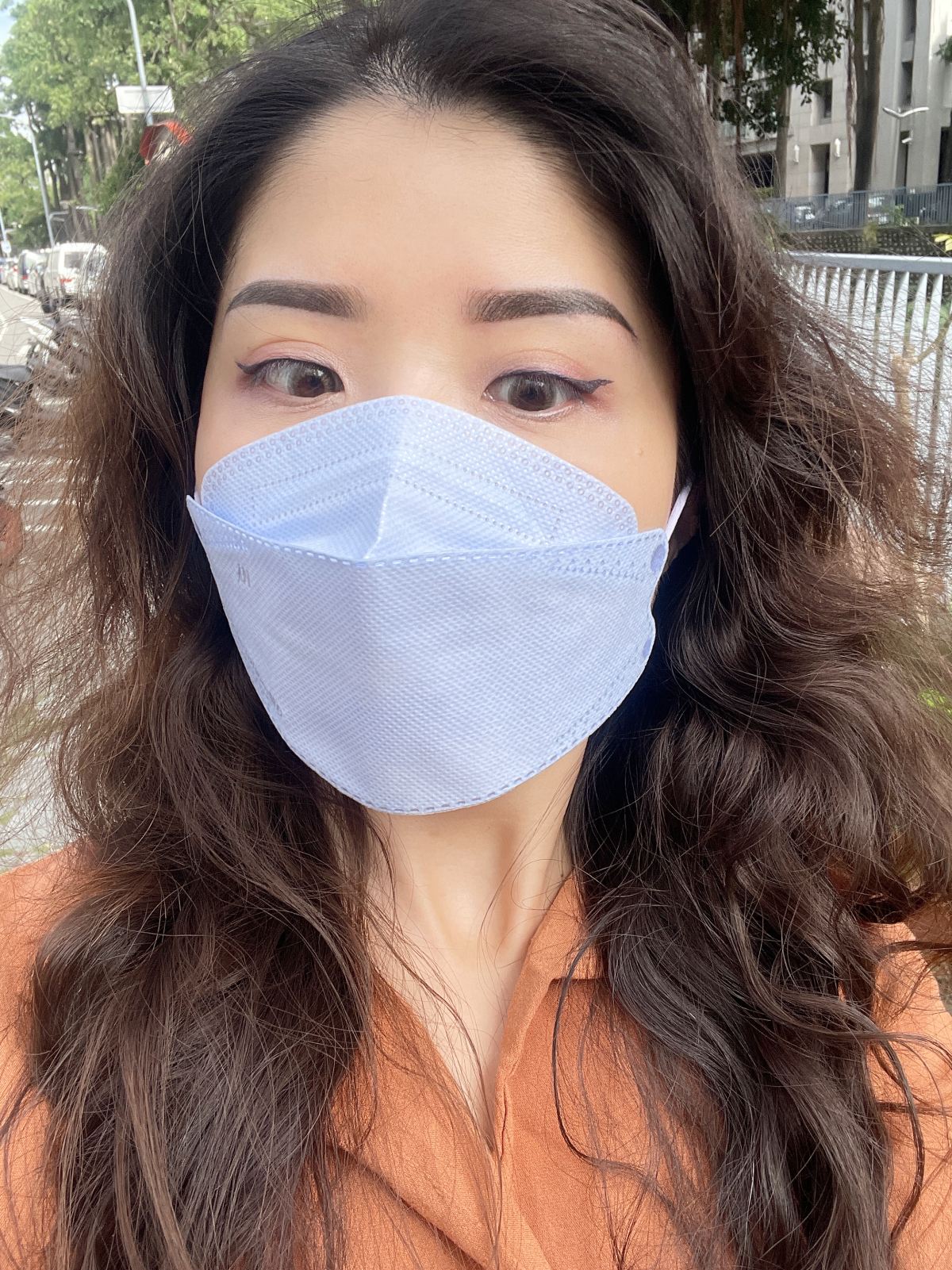 萊黛黎美學