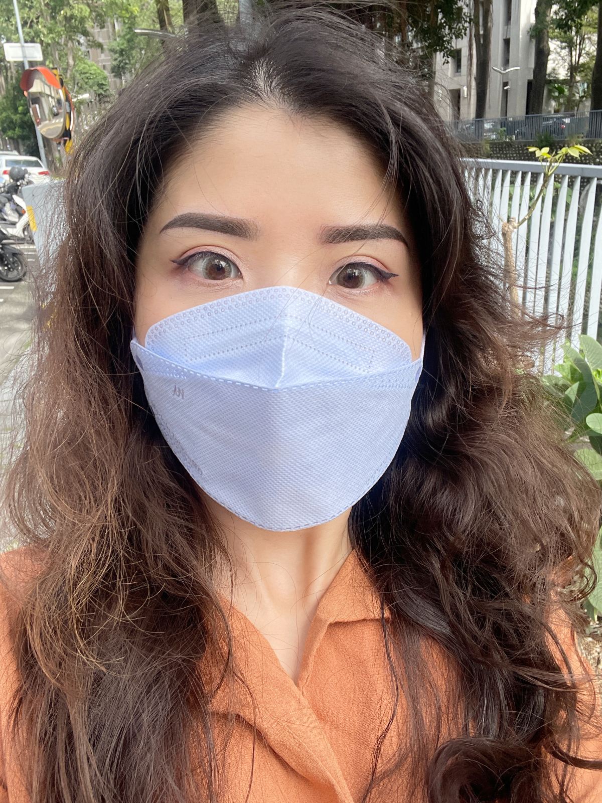 萊黛黎美學