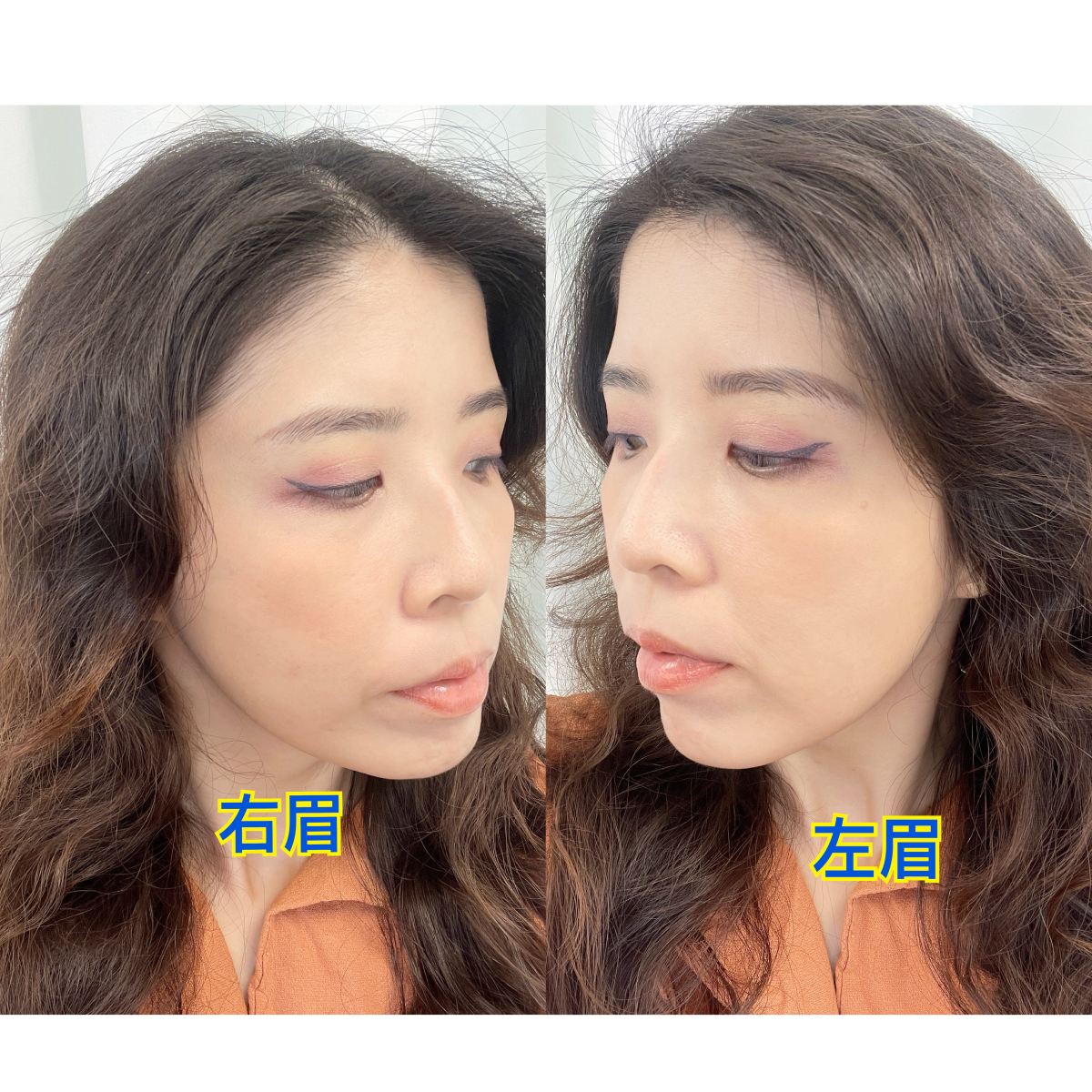 萊黛黎美學