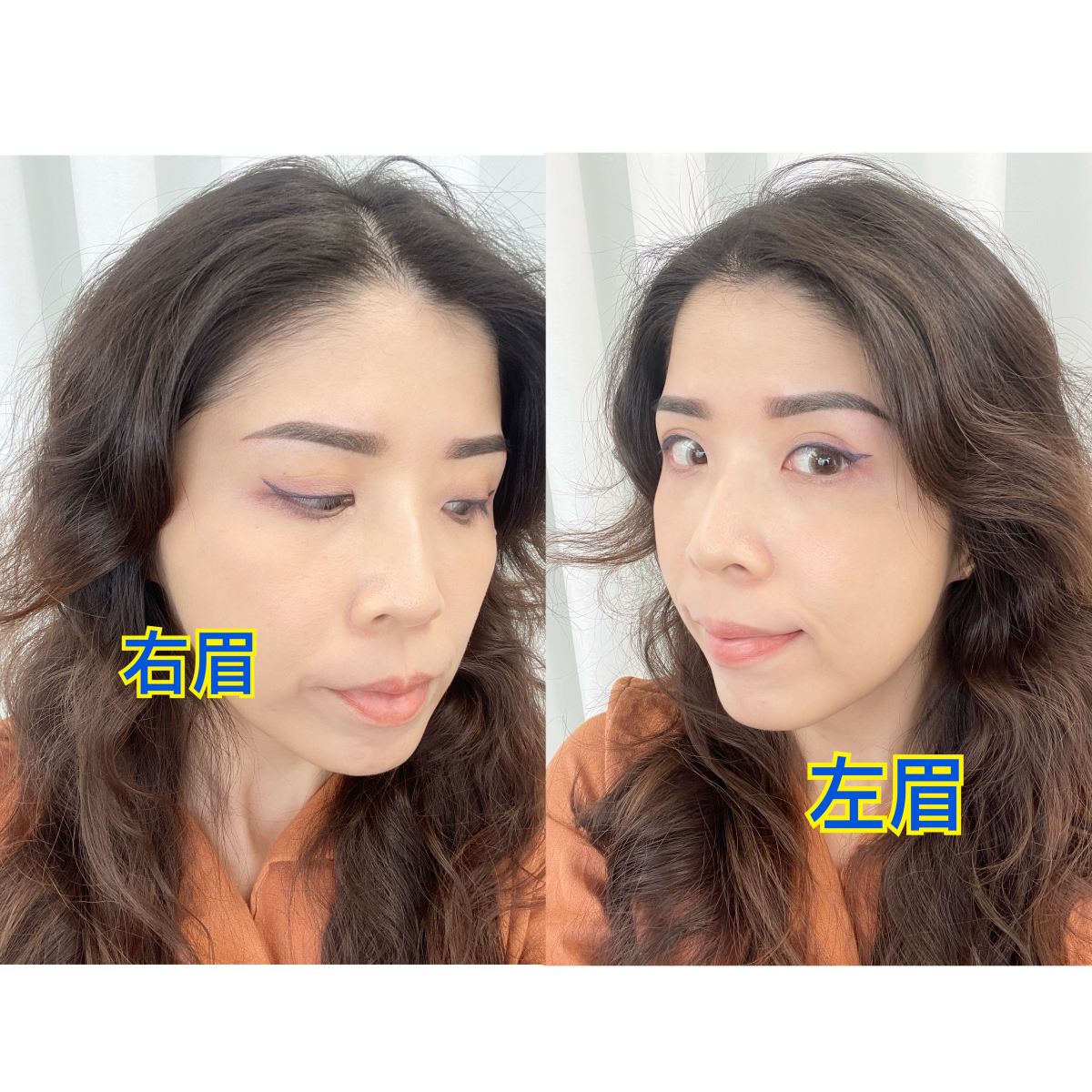 萊黛黎美學