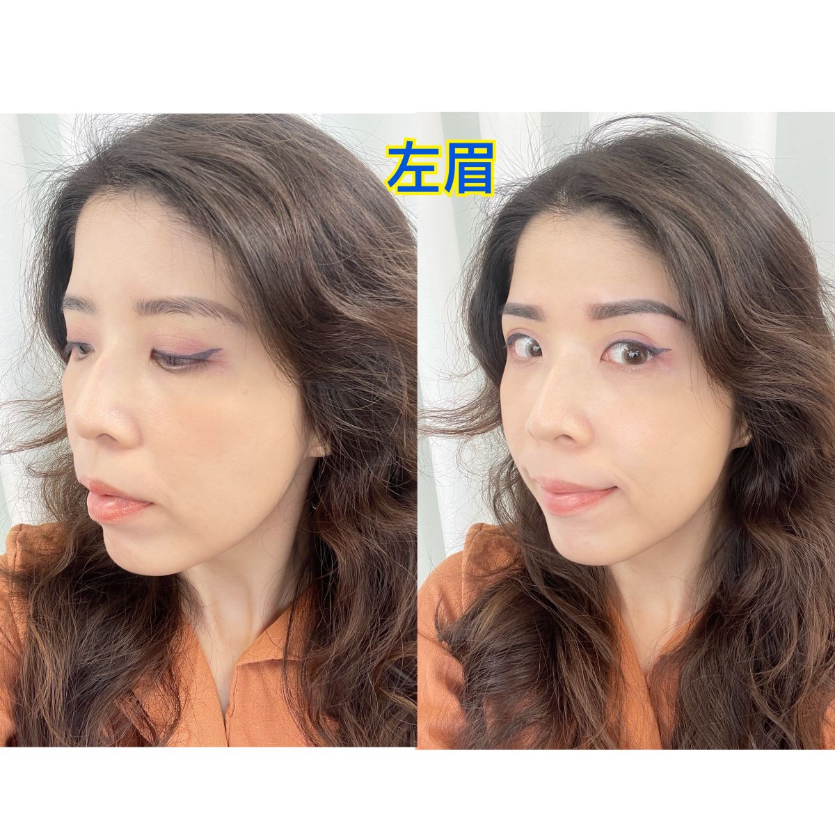 萊黛黎美學