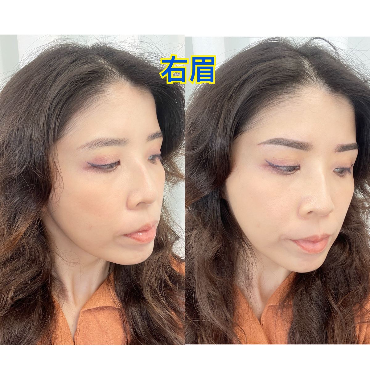 萊黛黎美學