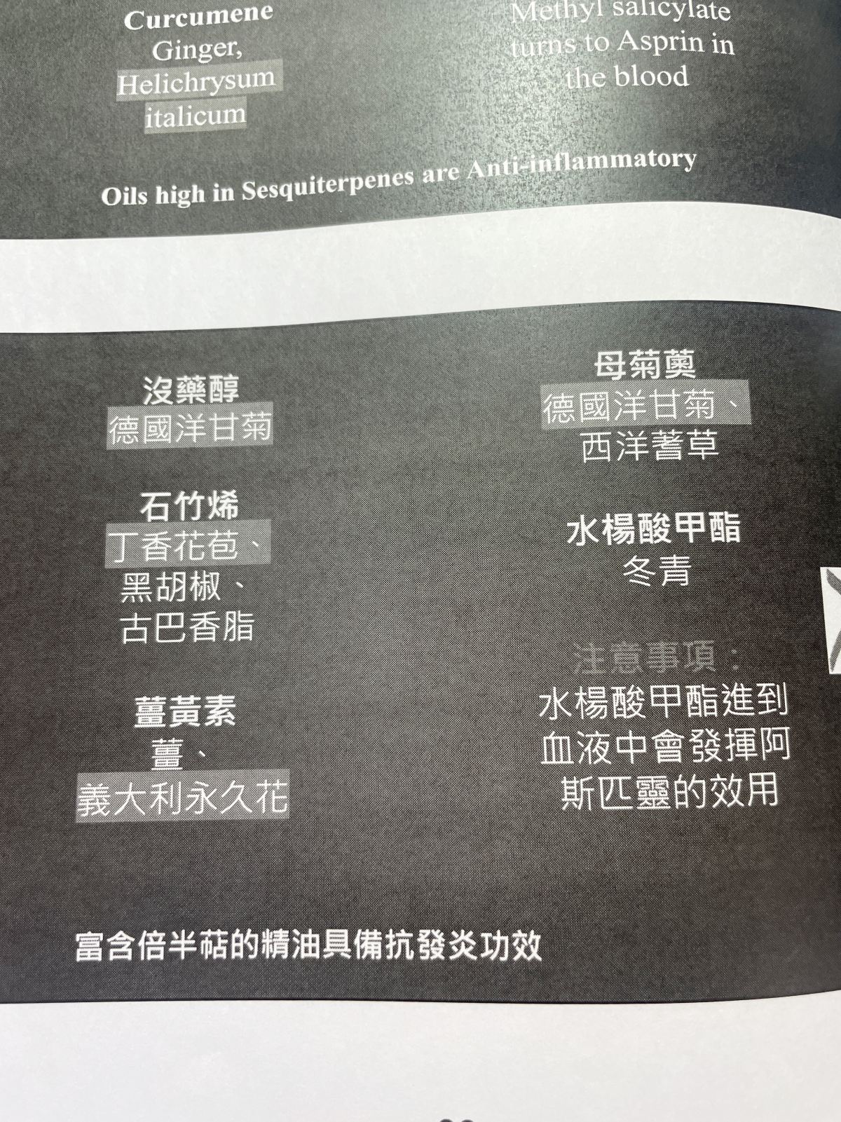 2024芳療研討會