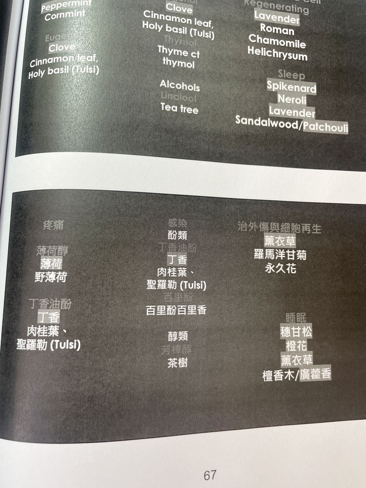 2024芳療研討會