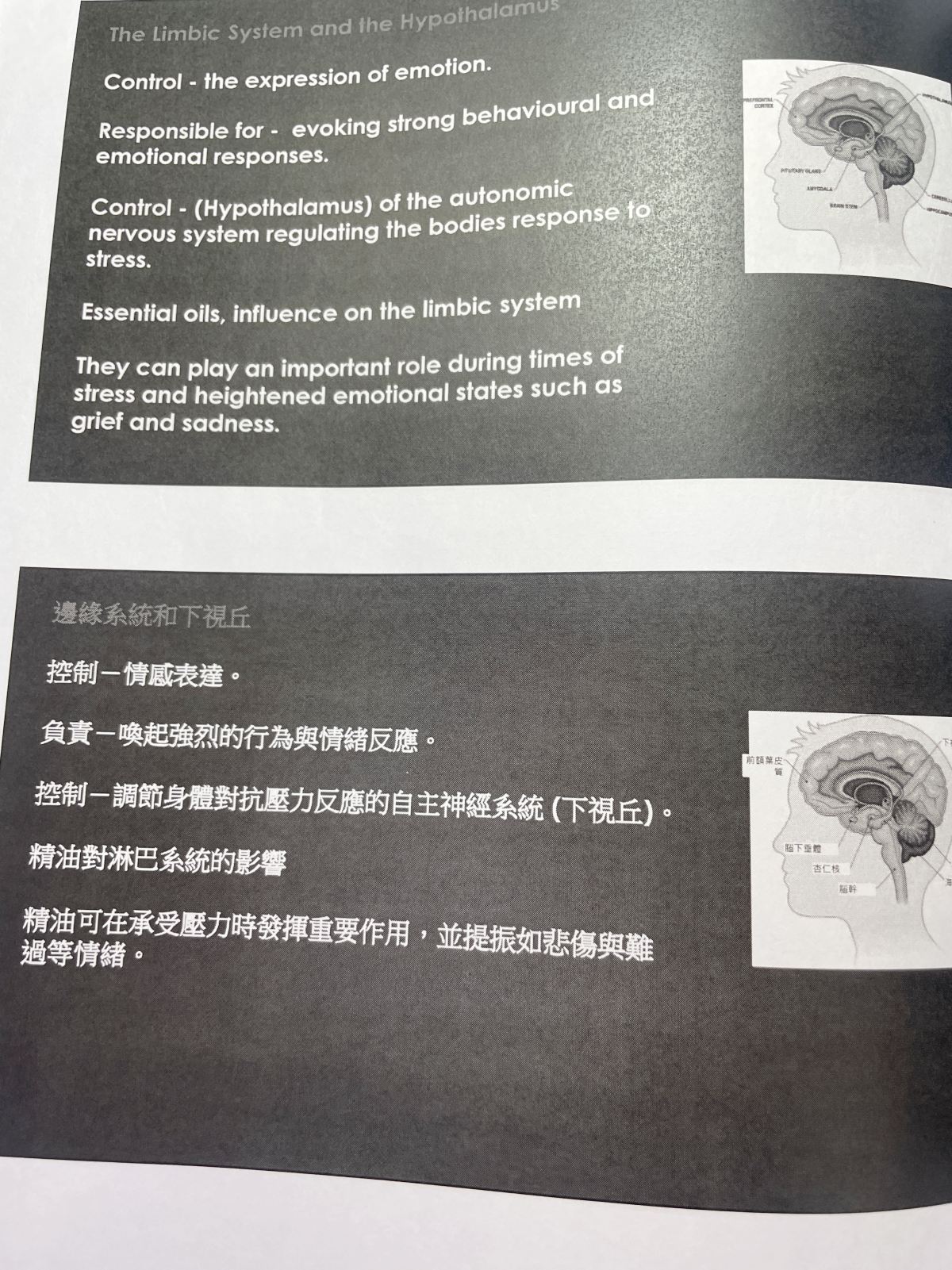 2024芳療研討會