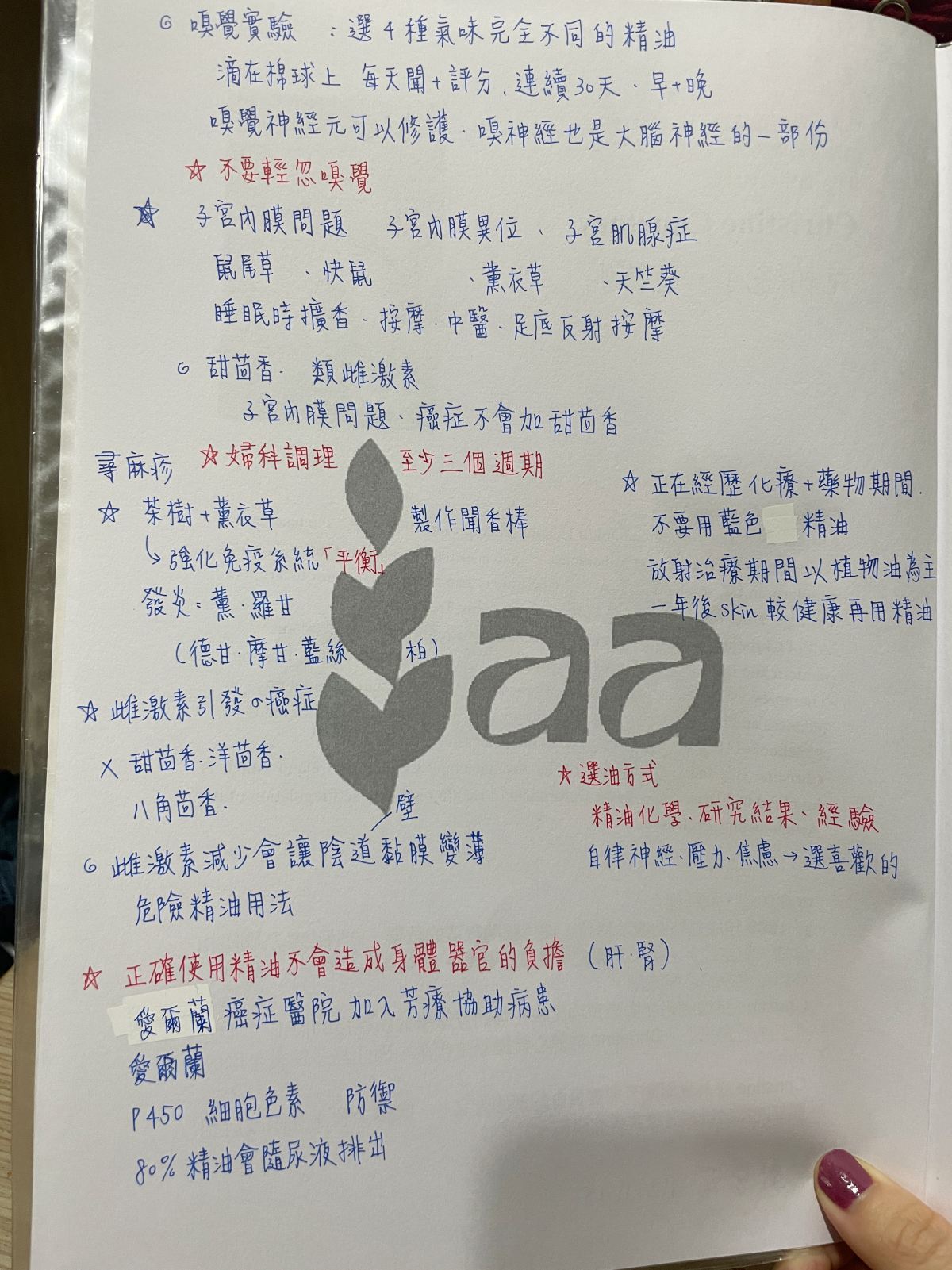 女性芳療2023