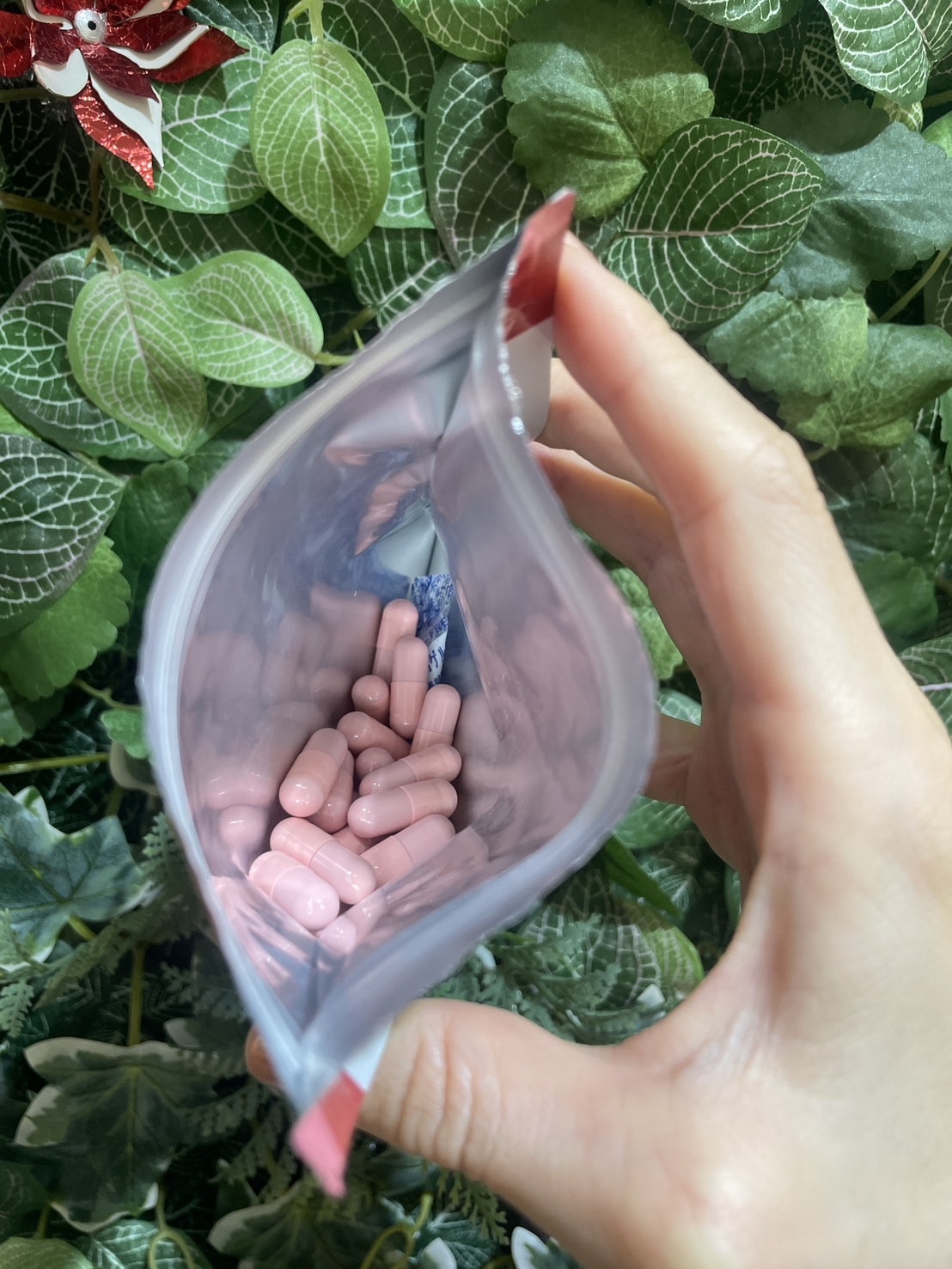 大島生醫蔓越莓益生菌
