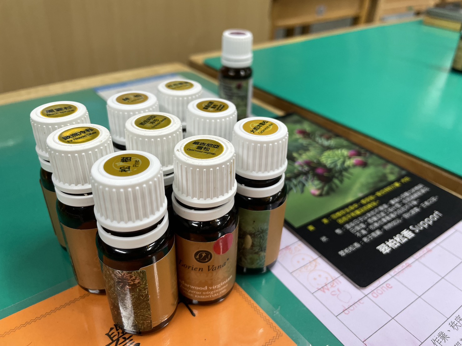 信義社大