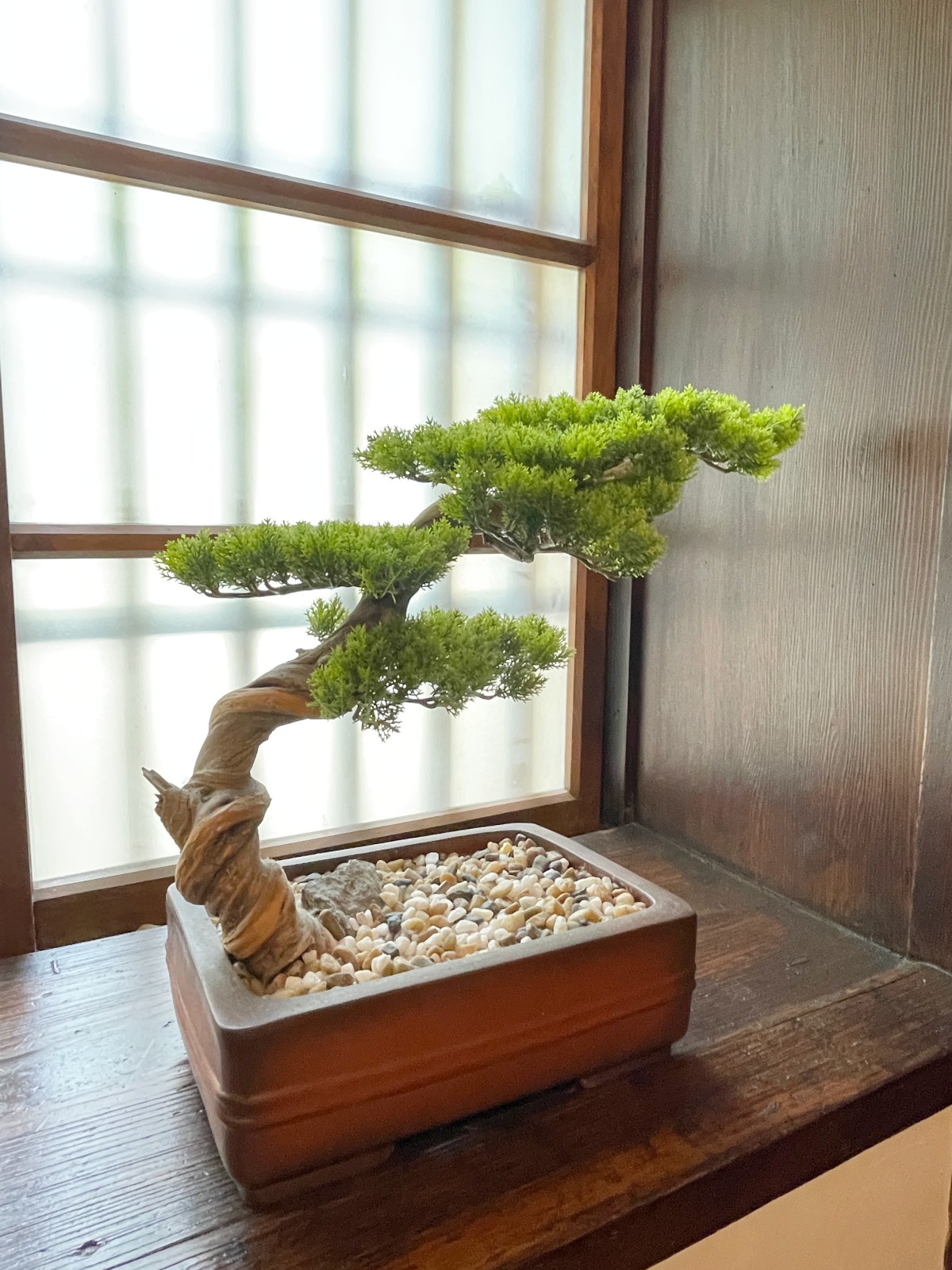 台北昆陽街的日式時光機:【靜心苑】百年老宅雙館深度散策,穿浴衣、嚐鍋物、聆聽老樹的療癒呢喃 - 第22張圖 靜心苑