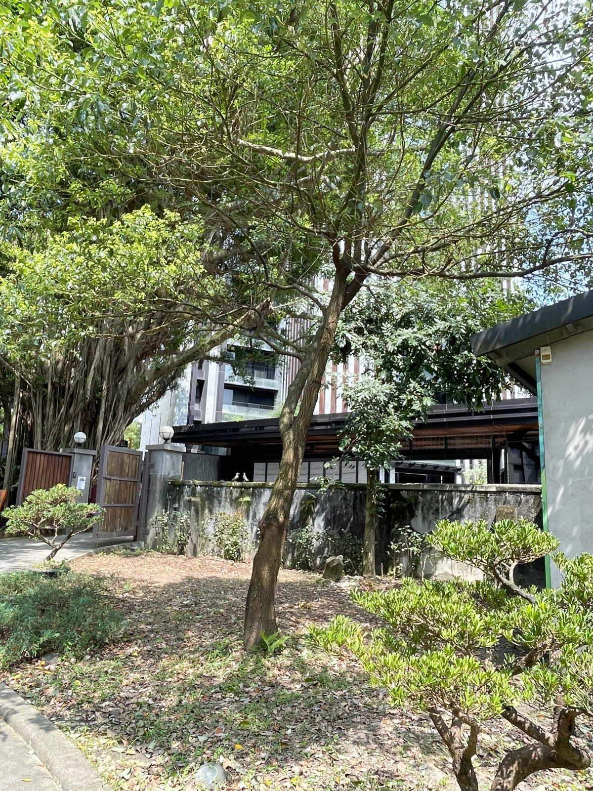 靜心苑