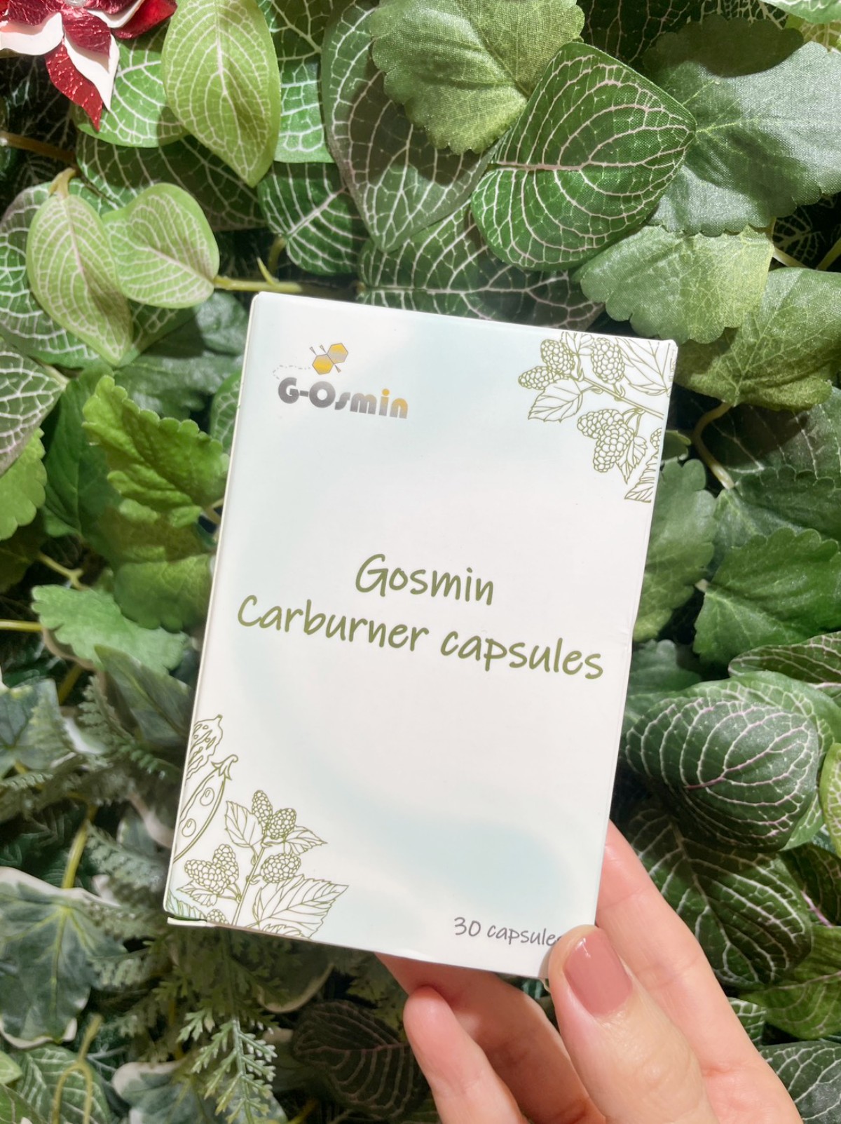 【體態管理開箱】植雨生技 Carburner 膠囊心得!芳療師的夏天體態管理好物分享,外食族與甜點控的維持曲線日常保健品分享 - 第1張圖 植雨 carburner 膠囊