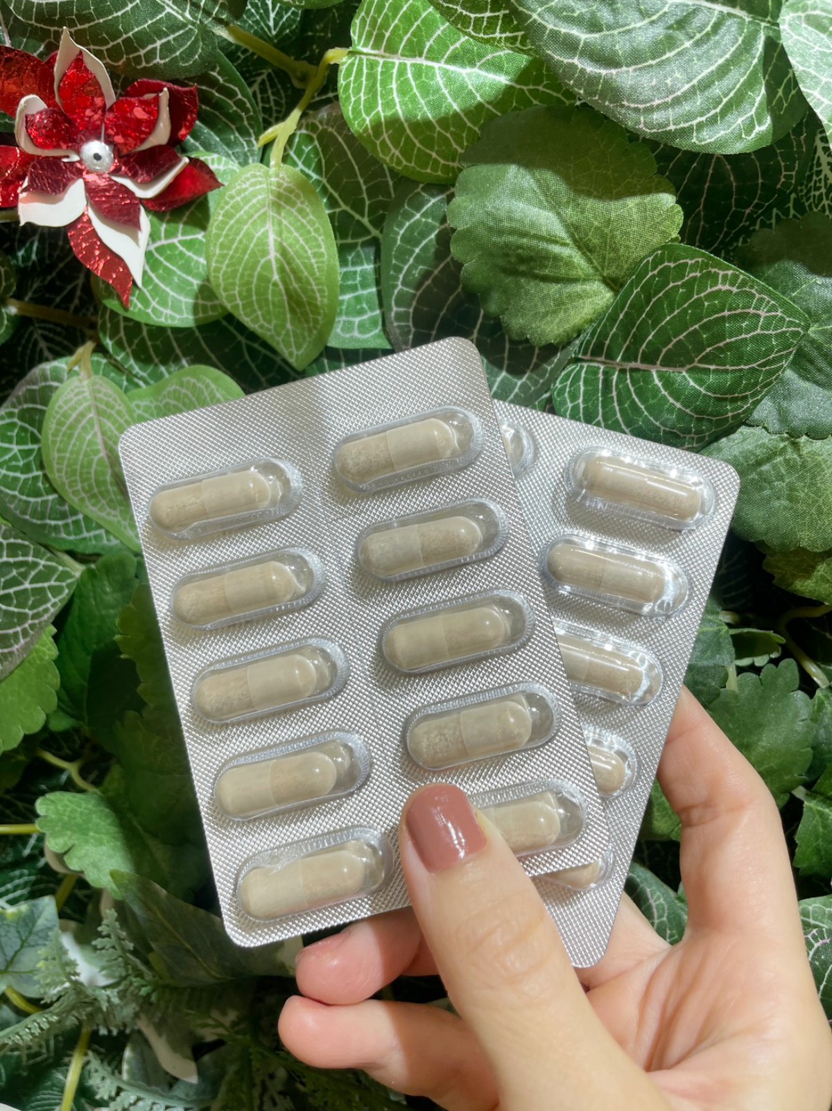 【體態管理開箱】植雨生技 Carburner 膠囊心得!芳療師的夏天體態管理好物分享,外食族與甜點控的維持曲線日常保健品分享 - 第2張圖 植雨 carburner 膠囊